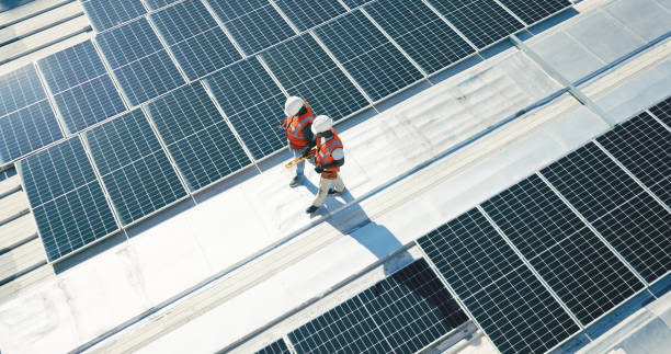Best Roof Maintenance and Cleaning  in Hastings, MI