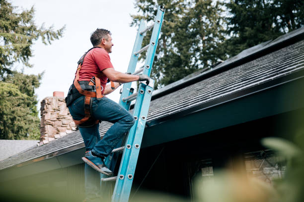 Best Rubber Roofing (EPDM, TPO)  in Hastings, MI