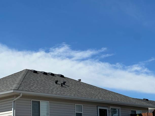 Best Asphalt Shingles Roofing  in Hastings, MI