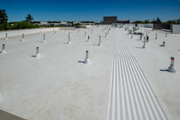 Best Skylight Installation and Repair  in Hastings, MI